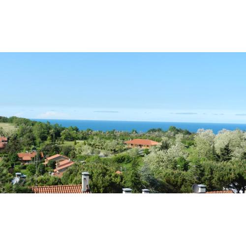 ColleMare