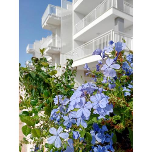 Color Dream Residence