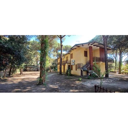 Comfortable apartment for 5 guests in Rosolina