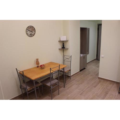 Comfortable apartment in the center of Athens