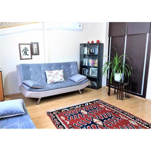 Comfy roof with terrace - 4 TH FLOOR WITHOUT LIFT-1 Air Conditioner