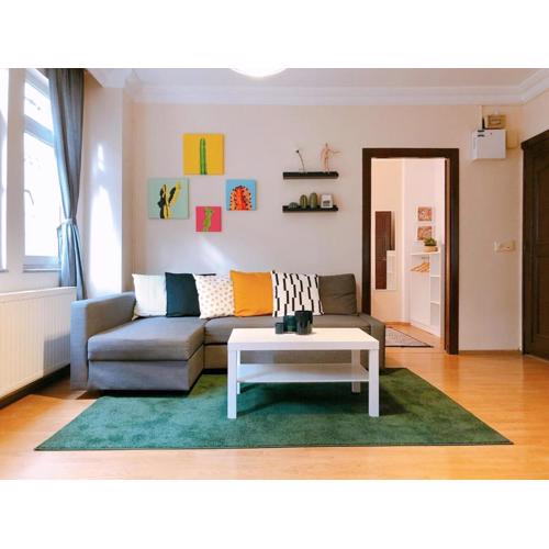 Comfy & Spacious Flat in the Center of Cihangir