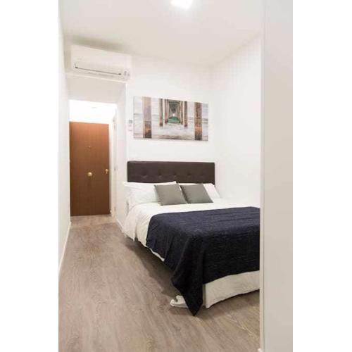 Comodo y agradable estudio en Madrid centro A5