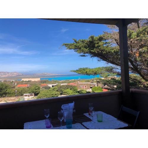Conchiglia di Stintino Vista Mare