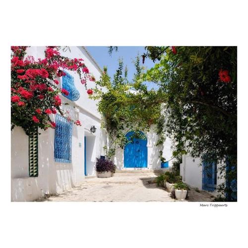 Coquette studio au village