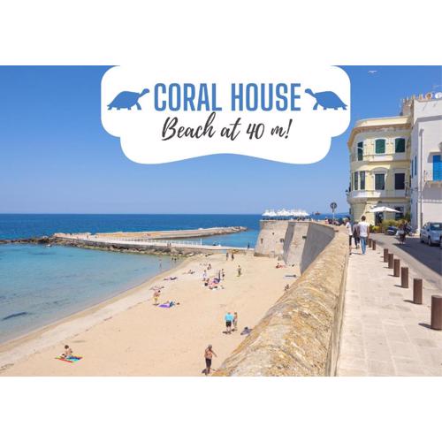 Coral - 30 passi dalla Spiaggia della Purità