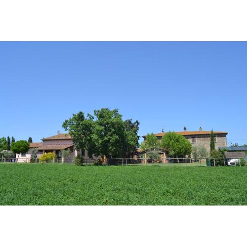 Cortona Holiday Home