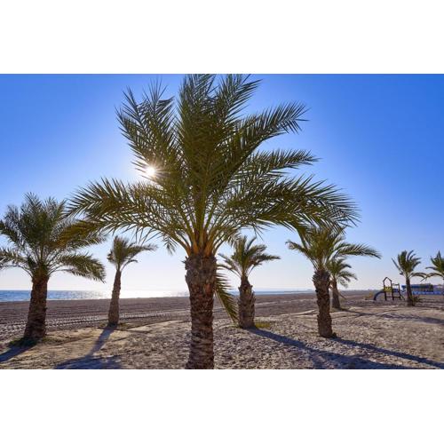 Costa Blanca Holiday Rental Tamarit Beach II