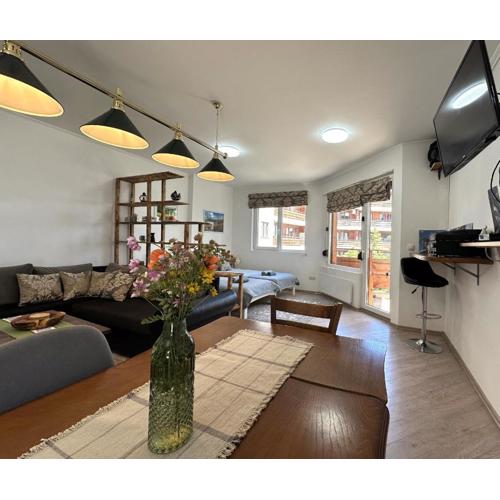 Cosy 2-bedroom apartment near the ski road Bansko