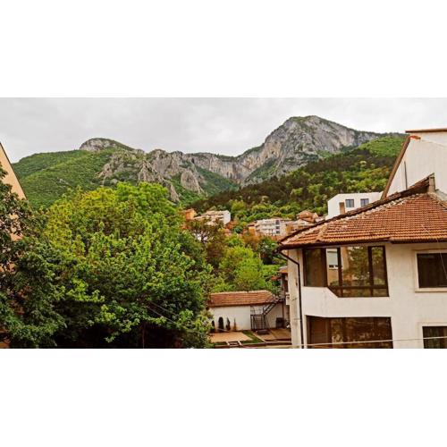 Cosy Balkan View