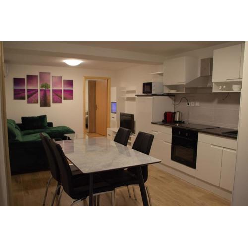 Cosy charming apartment near the Palace