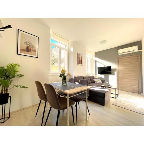 Cosy old town apartment