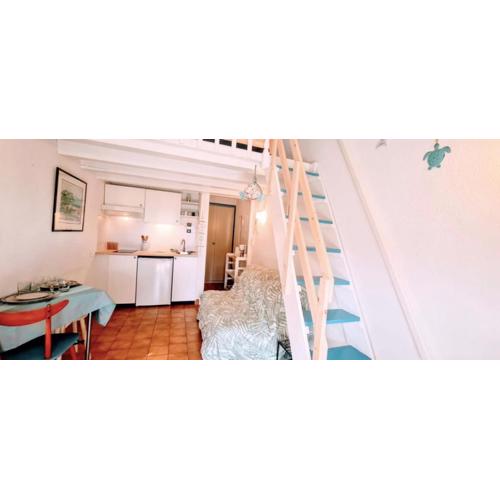 Cosy studio near the beach