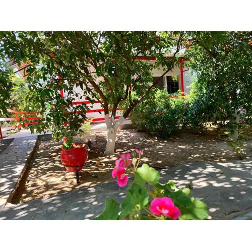 CottonClub Villas