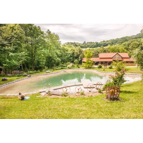 Country house with a pool in Medvednica Nature Park