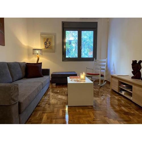 Cozy and comfortable apartment in Athens Center