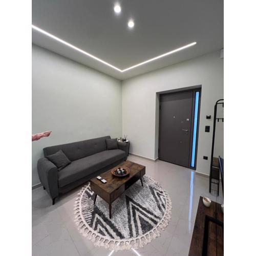 Cozy and modern apartment