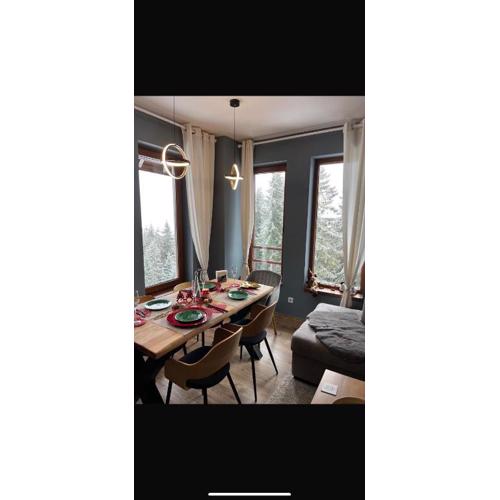 Cozy Apartment B35 in Grand Resort Pamporovo