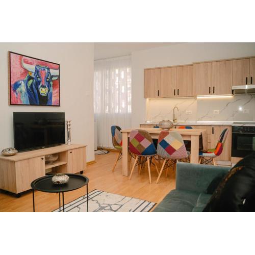 Cozy Apartment in Central Tirana