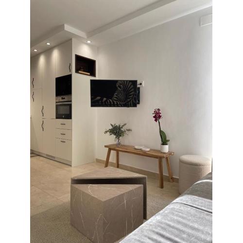 Cozy apartment in Malasaña