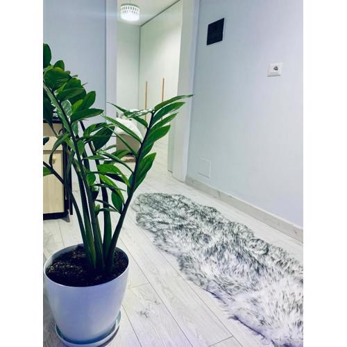 Cozy Corner