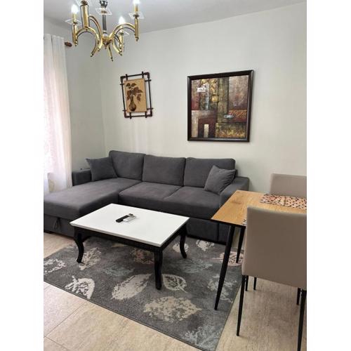 Cozy flat in the city center