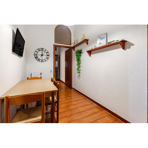 Cozy house with garden in downtown Pisa