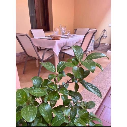 Cozy house with terrace in Pula, 85 m², garden