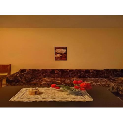 Cozy little flat in Karlovo