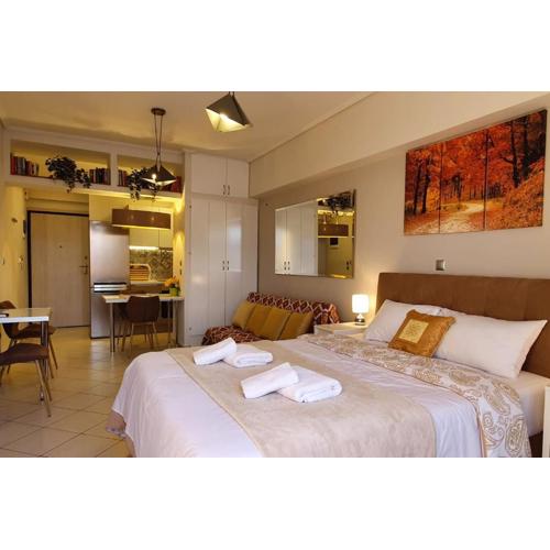 Cozy Luxury Apartment in the Heart of Athens 8-1