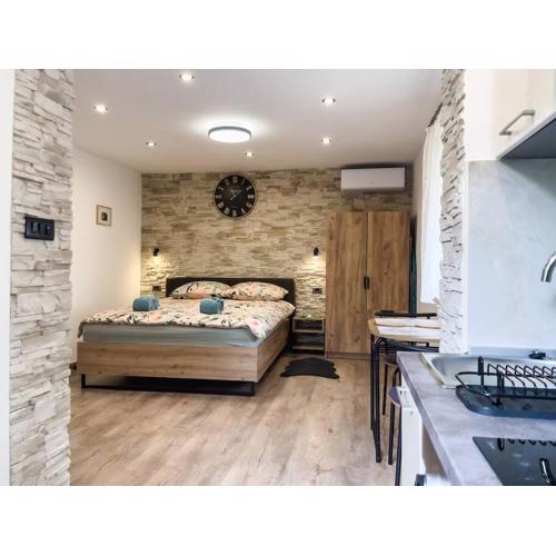 Cozy Newly-Renovated Apartment Ivan