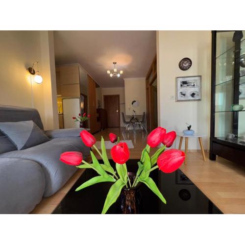 Cozy Selvia Stay