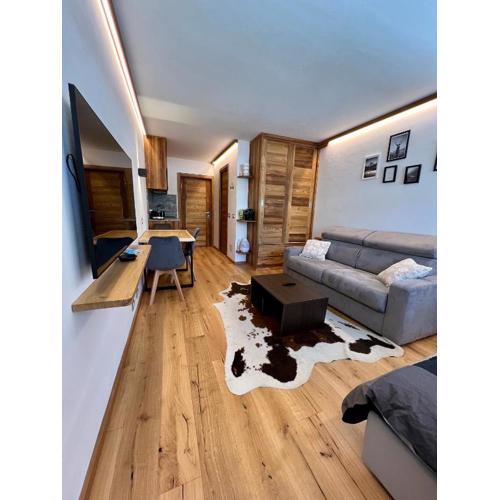 Cozy studio apartment (110)