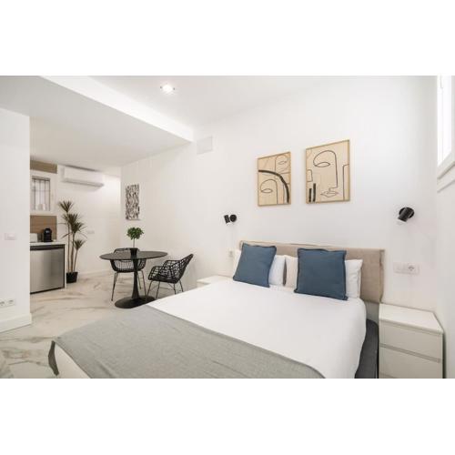 Cozy studio in Madrid LEY4