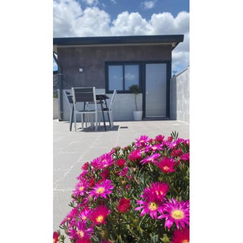 Curia Apartment