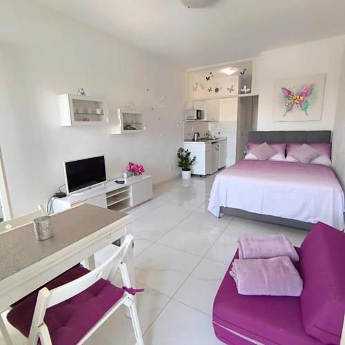 Cute studio-great location