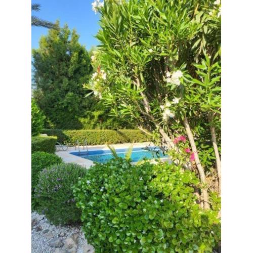 Cyprus Beachfront Paradise Villa Private Pool