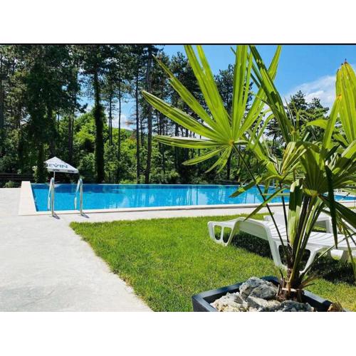D Villa