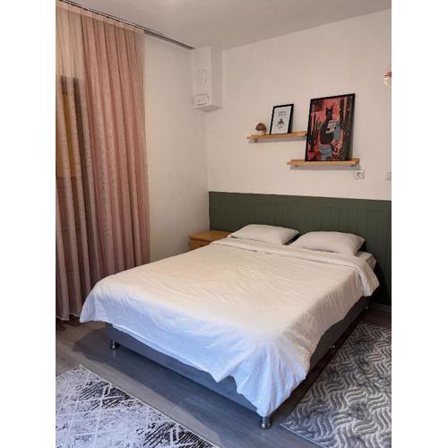 DALAMAN 2 ODALI DAİRE