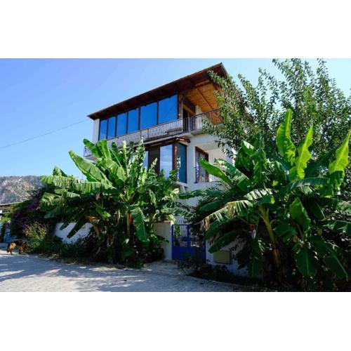 Dalyan Blue