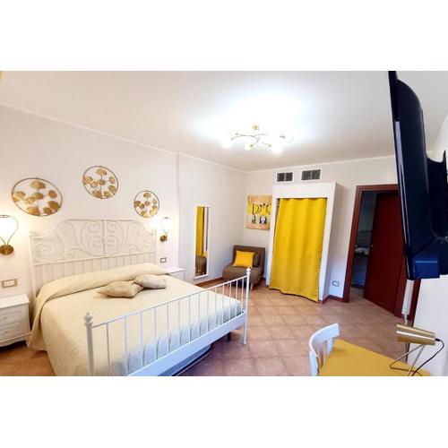 DaMa Rooms