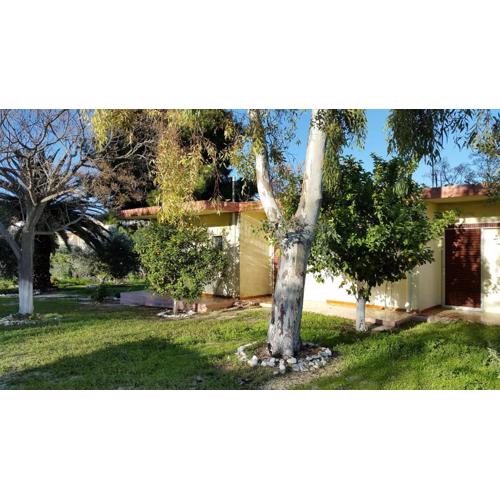 Danaides Bungalows