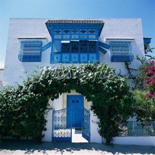 Dar ali