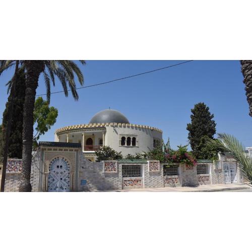 Dar Henani
