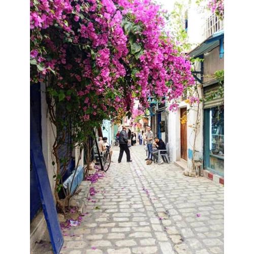 Dar Maram Tunis