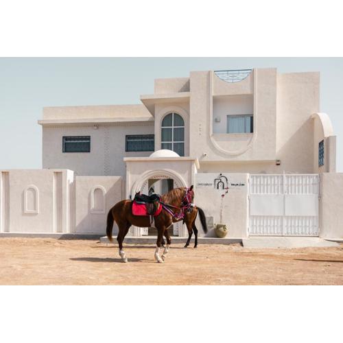 Dar Mima - Luxury Villa Djerba