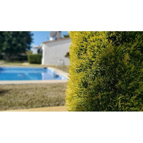 Del Parque Flats Picasso Townhouse