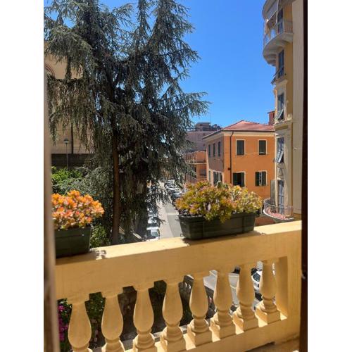 Delizioso appartamento