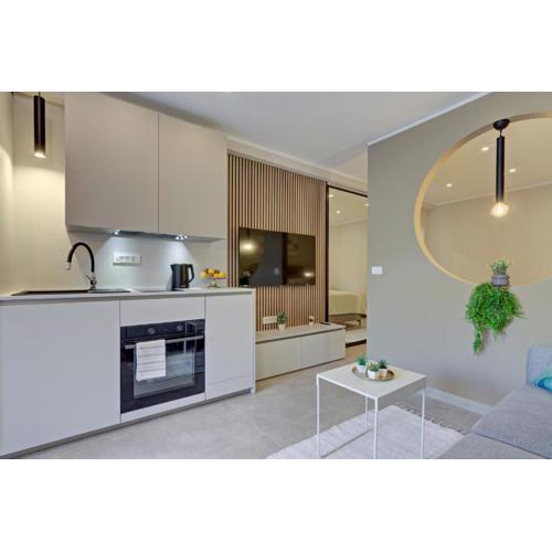 Delux studio apartment Aron with free Parking