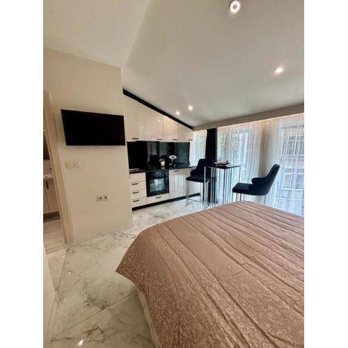 Deluxe Studio & Private Parking